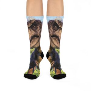 Dinosaur Socks